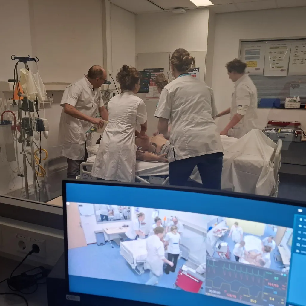 simulatie