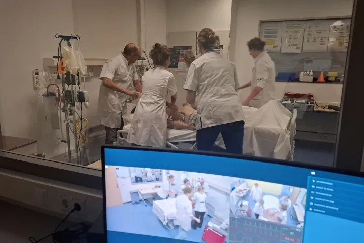 simulatie